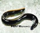 台山鳗鱼