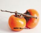 房山磨盘柿