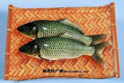 2、孟津黄河鲤鱼