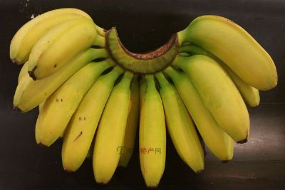 谷平香蕉