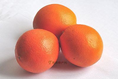 铜梁锦橙