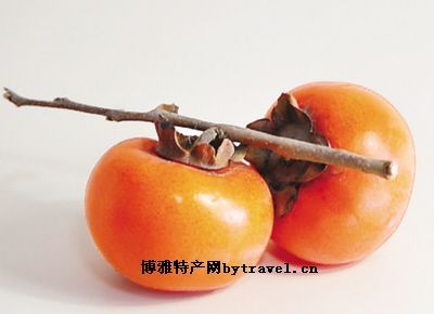 房山磨盘柿