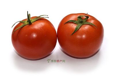 “龙澍峪”牌西红柿