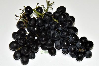 段园葡萄