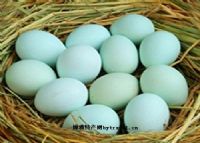 芦山绿壳鸡蛋