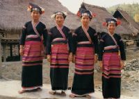 15、傣族女子服饰