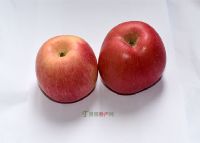6、虞城红富士苹果