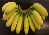 8、乐东香蕉
