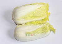 唐王道口大白菜