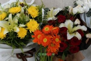 ��������ʿ��԰