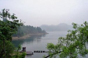 半汤郁金香高地景区