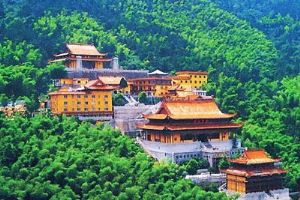 ®ɽ������