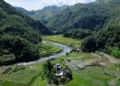 菲律宾科迪勒拉山的水稻梯田