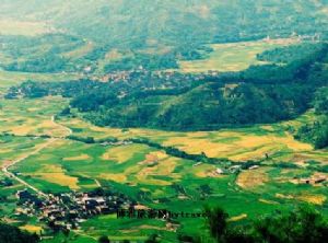 Ϫ�����ѹ�������Ϫ�������ѹ���