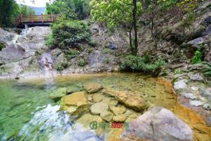 ¥��̨����ɭ�ֹ�԰