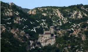 ������ɽ������