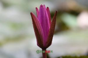 ҽ����ɽ�ɴ�����