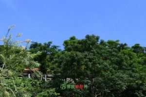 ������ַ