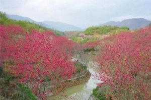 济南市长清区书堂峪村