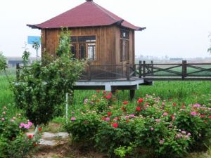 秦口河水上游餐饮生态园