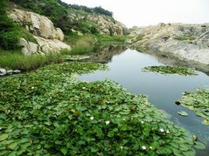 青岛竹岔岛