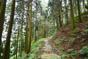 六盘水真龙山景区