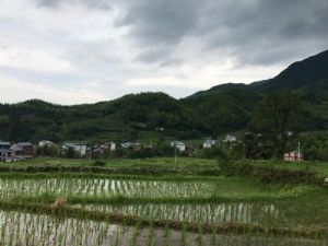 武功山龙山村