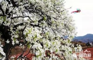 栖贤梨花沟风景区