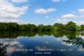 可鲁克湖-托素湖湿地自然保护区