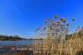 安达古大湖国家湿地公园