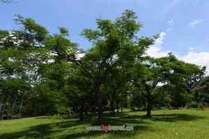 �����ʾ�