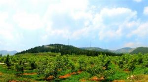 ����������԰����