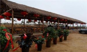 �ɽ��³ũҵ��԰