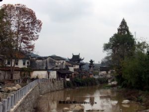 ����Ž���Ⱥ