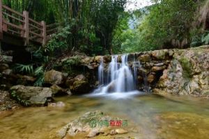 贵阳森林野生动物园