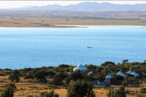 ������������Ƿ��������ζȼ���