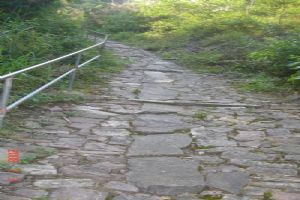 �ϻ�ɽʯ崹ŵ���ַ