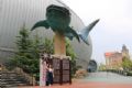 烟台海昌鲸鲨海洋公园