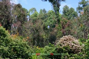 �����³̱�