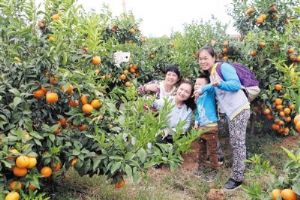 �������ִ�ũҵׯ԰