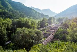 ���ٹŴ���