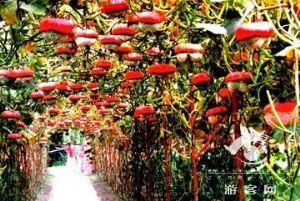 �̽�������̬���ξ���