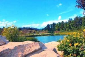 �ݽ���������