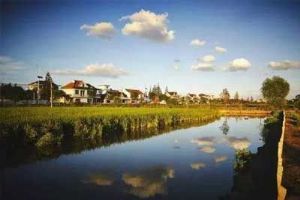 �Ϻ�������̬��