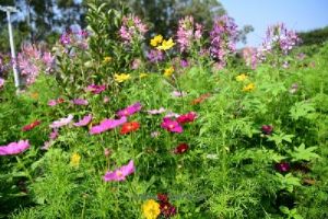 �����°���