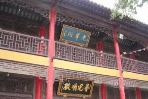 ��Ӧ������