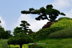 ���Ծ�Ħ��ʯ��