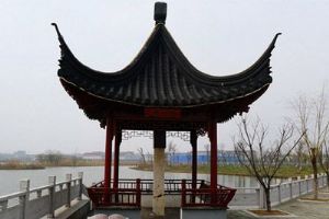 �ν�����̬������