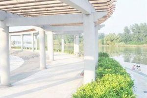 �����Ӿ���