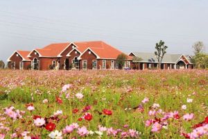 ����ũ��